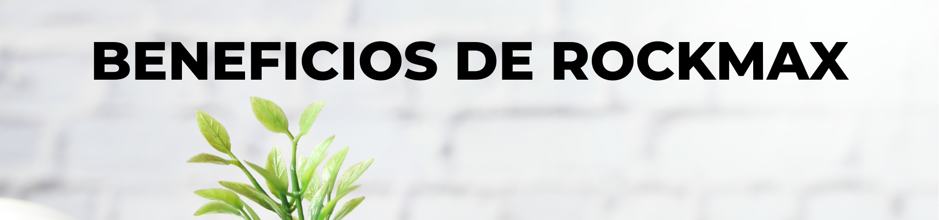 BENEFICIOS DE ROCKMAX BENEFICIOS DE ROCKMAX